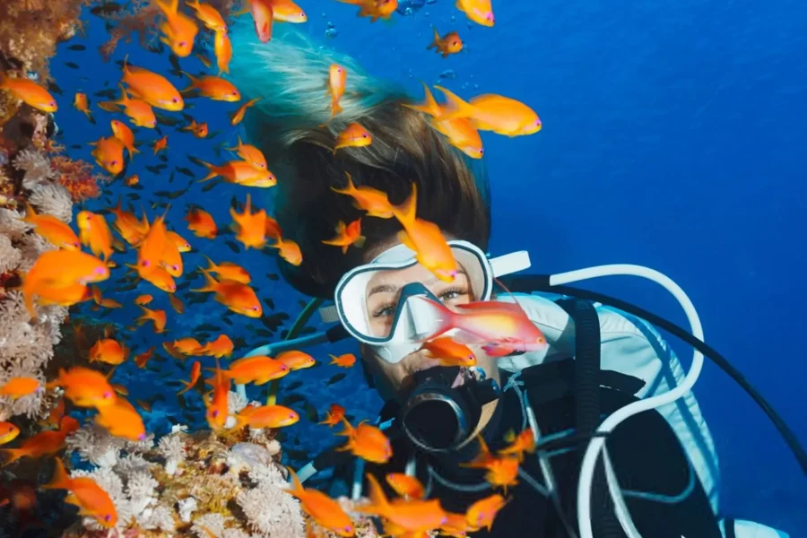 Coral Reef Explorer Dive